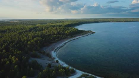 Aerial-shot-of-a-beach-and-a-forest-landscape