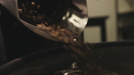 Roasted-coffee-beans-pouring-out-from-the-roaster-machine