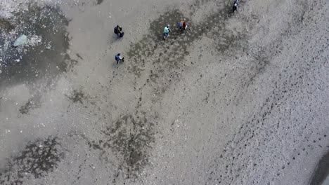 Beautiful-drone-dolly-flyover-of-people-walking-on-a-sandy-beach-in-Port-Renfrew,-Vancouver-Island,-BC