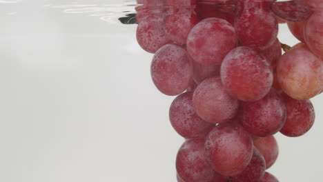 A-delicious-bunch-of-juicy-red-grapes-being-dipped-into-water