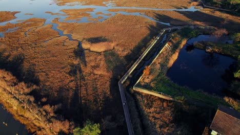 People-walking-on-recreational-pathway-in-wetlands-location,-aerial-drone-shot