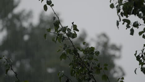 Heavy-rain-day-in-a-suburban-neighborhood-in-Georgia