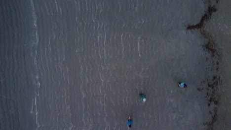 Beautiful-drone-dolly-flyover-of-people-walking-on-a-sandy-beach-in-Kyuquot-Sound,-Vancouver-Island,-BC
