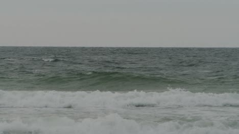 Lonely-seal-enjoys-crashing-ocean-waves-near-coastline,-static-view