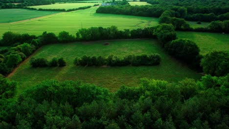 Flying-Through-Plain-With-Dense-Trees-And-Green-Fields