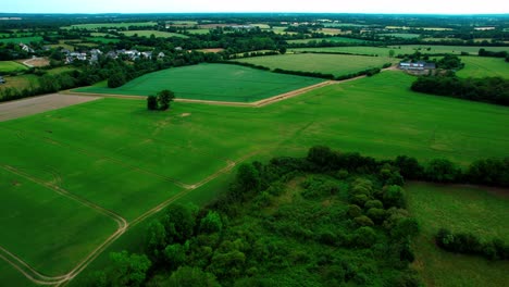 Flying-Over-Vast-Verdant-Landscape-With-Fields-And-Forest-On-The-Countryside