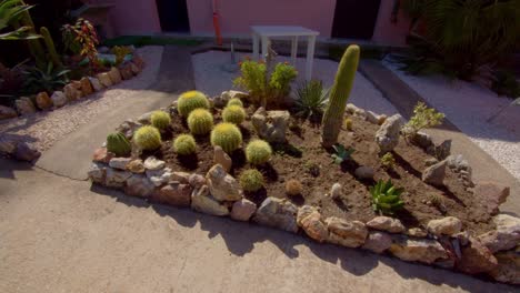 Beautiful-cactus-garden-near-local-small-building-in-Sardinia-island,-close-up-orbit-view