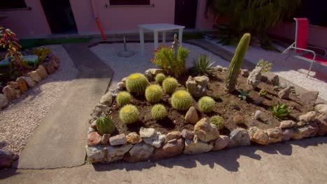 Vibrant-cactus-garden-near-local-residential-building-in-Sardinia,-orbit-view