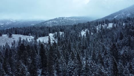 Aerial-shot-of-the-winter-forest-with-the-steaming-natural-hot-springs-on-background