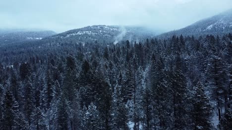 Drone-shot-over-the-winter-forest-with-steaming-natural-hot-springs-on-background