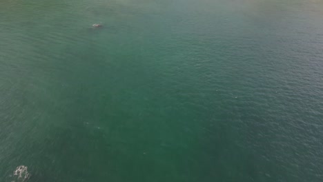 Drone-aerial-shot-over-flying-the-ocean-towards-the-coast