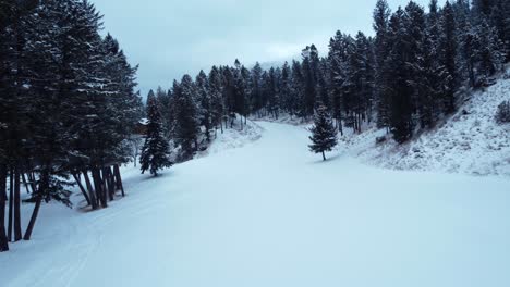 Ruta-De-Esquí-De-Fondo-Cubierta-De-Nieve-En-El-Bosque