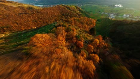 Colorful-descending-FPV-shot-of-Wachau-woods-in-painterly-autumn-colors