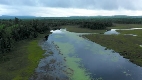Aerial-shot-over-the-green-murky-waters-of-Shirley-Bog-winding-through-the-Maine-countryside-surrounded-by-dark-forest