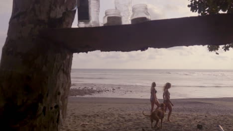 Zwei-Schöne-Blonde-Frauen-In-Bikinis-Und-Ein-Hund-Gehen-Zusammen-In-Zeitlupe-Am-Sandstrand-Von-Punta-Banco,-Costa-Rica