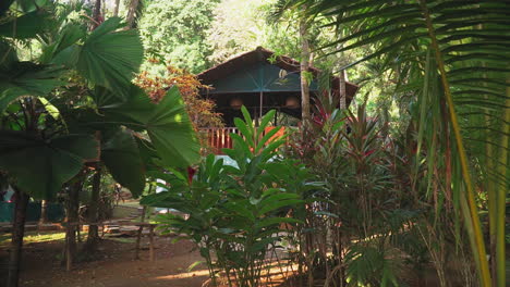 Caminando-Por-El-Follaje-De-La-Jungla-Hasta-Un-Pequeño-Pueblo-En-Punta-Banco,-Costa-Rica