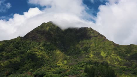 Luftaufnahme-Eines-Riesigen,-üppig-Grünen,-Bewaldeten-Berges-Im-Waimano-Tal,-Honolulu,-Sonniger-Tag-In-Hawaii