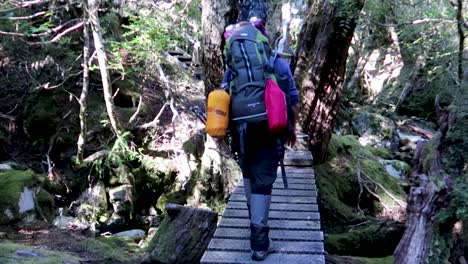 Full-shot-of-Tourists-Equipped-for-trekking-walk-on-Boardwalk-immerse-in-the-nature