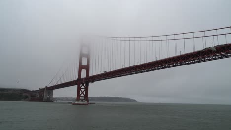 Golden-Gate-Bridge-Mit-Möwen