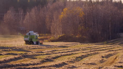 Harvester-machine,-harvesting-on-a-wheat-field,-on-the-countryside,-on-a-sunny,-autumn-evening,-in-Soderhamn,-Sweden