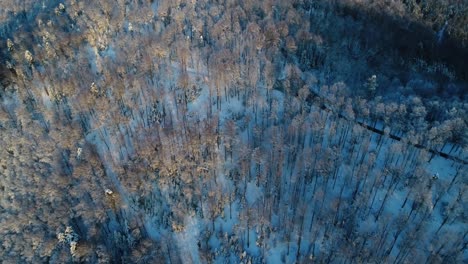 Revealing-aerial-shot-of-TV-tower-on-mountain-top-surrounded-with-forest-covered-in-snow