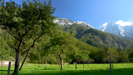 Apple-orchard-in-autumn,-mountains-in-background,-Logarska-dolina,-Slovenia,-pan-left-to-right