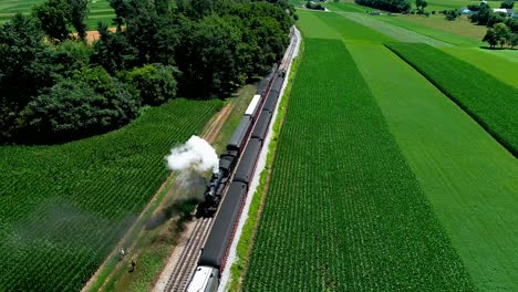 Steam-Train-at-Picnic-Area,-Dropping-off-Passengers-as-Second-Steam-Train-Passes,-in-Amish-Countryside-as-seen-by-Drone