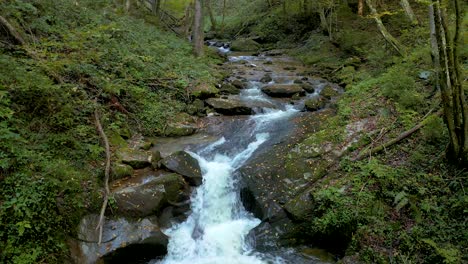 Bei-Bistriski-Vintgar-Slovenia-Fließen-Bei-Tageslicht-Klare-Bäche-Durch-Den-Grünen-Wald