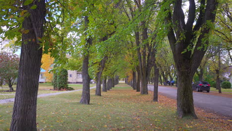 Durch-Herbstliche-Bäume-Gehen.-30p-Entspricht-24p