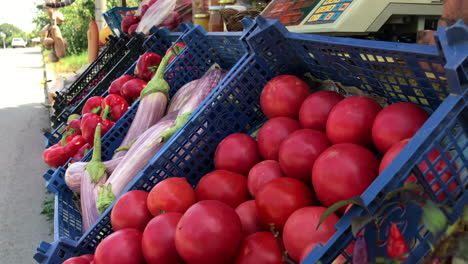 Selling-bio-vegetable-and-fruits-on-a-street-market-in-summer