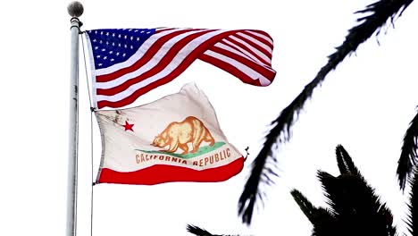 Un-Foco-Tirado-De-Una-Palmera-Ondeante-A-La-Bandera-Del-Estado-De-California-Y-La-Bandera-Estadounidense-En-El-Cielo