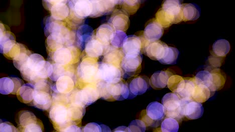 Flickerin-Christmas-light-out-of-focus