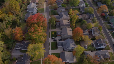 Aerial-flyover-suburban-houses-and-autumn-leaves-at-sunset