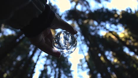 close-up-bottom-view-of-a-young-female-hand-holding-a-crystal-ball-reflecting-landscape-in-an-autumnal-forest