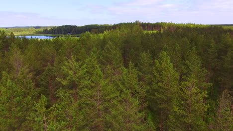 Beautiful-reversing-drone-video-of-a-traditional-Finnish-forest-and-lake-scenery,-camera-pitching-slowly-down
