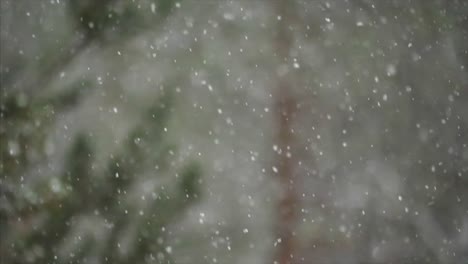 slowmotion-footage-of-snowfall