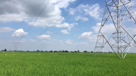 High-tension-electric-towers-erected-on-paddy-feilds-of-India