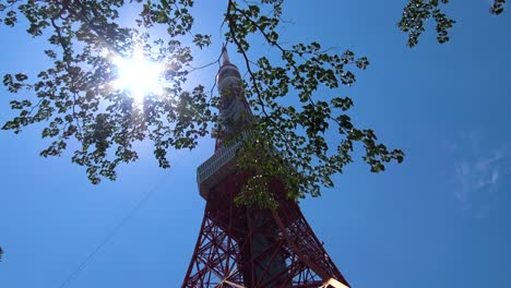Tokyo-Tower-view-from-below-with-shining-sun-and-tree