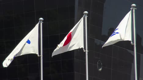 Japanische-Flagge,-Die-Herein-Gegen-Sauberen-Blauen-Himmel-Weht