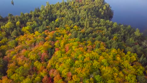 Luftaufnahme-Tagsüber-Von-Herbstwaldfarben-Kippt-Nach-Oben,-Um-Ruhige-See--Und-Kieferninseln-Und-Reflexionen-In-Kawarthas-Ontario-Kanada-Zu-Enthüllen