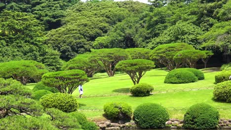 The-view-of-walking-people-in-shinjuku-gyoen-national-garden
