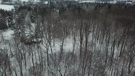 Ariel-footage-of-trees,-snow.-Drone-Footage