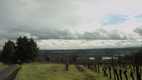 A-timelapse-of-a-wine-vineyard-in-France-Bordeaux-this-is-in-winter