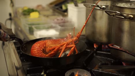 Taking-out-boiled-New-Zealand-fresh-crayfish-from-a-pot-of-hot-water