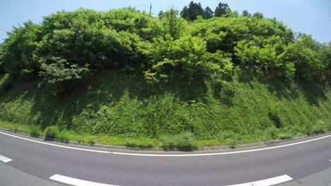 Bus-tour-with-a-go-pro-side-view-of-the-forest-and-town-passing-by