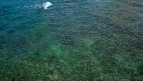 Drone-footage-of-a-small-wave-breaking-off-the-shore-of-Waikiki-beach,-on-the-island-of-Oahu,-Hawaii