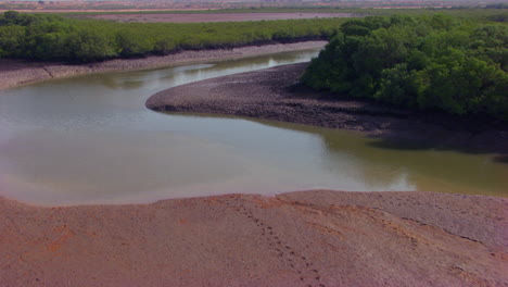 Kurvenreicher-Flug-über-Die-Mangroven-Mit-Drohnenkamera,-Kleiner-Trockener-Meeresgürtel-Mit-Grünen-Bäumen