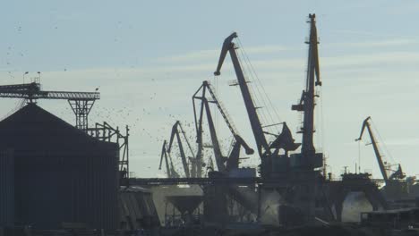Kohleverladung-Im-Hafen-Von-Liepaja,-Arbeitende-Kräne-Im-Hafen-Bei-Sonnigem-Tag,-Vögel-Fliegen-Durch-Die-Aufnahme,-Totale