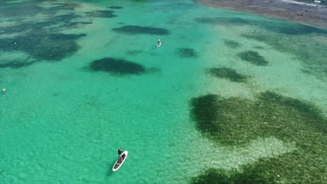 Slow-motion-aereal-view-of-people-paddleboarding-near-a-resort’s-beach-on-the-Honduran-caribbean-sea