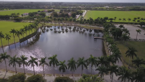 Imágenes-Aéreas-De-Un-Hermoso-Y-Sereno-Lago-Bordeado-De-Palmeras-En-Florida-En-Un-Día-Cálido-Y-Soleado